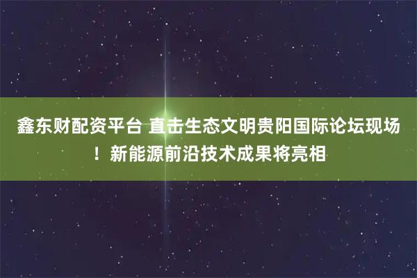 鑫东财配资平台 直击生态文明贵阳国际论坛现场！新能源前沿技术成果将亮相