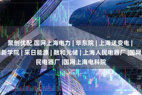 聚创优配 国网上海电力 | 华东院 | 上海送变电 | 智慧能源创新学院 | 采日能源 | 融和元储 | 上海人民电器厂 |国网上海电科院