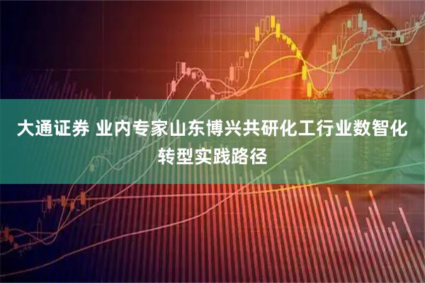 大通证券 业内专家山东博兴共研化工行业数智化转型实践路径